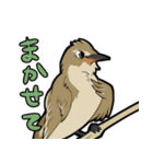 里山の仲間たち（個別スタンプ：12）