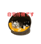 敬語で伝える猫スタンプ（個別スタンプ：16）