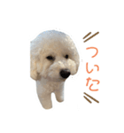 ブビースタンプ2（個別スタンプ：4）