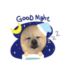 みどりい（個別スタンプ：1）