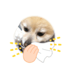 みどりい（個別スタンプ：3）