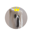 みどりい（個別スタンプ：7）
