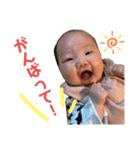 心晴日和。ver.1（個別スタンプ：24）