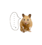 きんの日常（個別スタンプ：2）