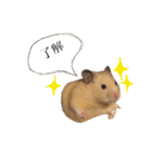 きんの日常（個別スタンプ：7）