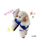 ぷぷくんの日常（個別スタンプ：4）