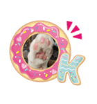 我が家の猫（Part7）（個別スタンプ：4）