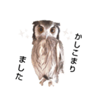 フクロウあずきver.2.0（個別スタンプ：6）