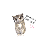 フクロウあずきver.2.0（個別スタンプ：9）