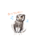 フクロウあずきver.2.0（個別スタンプ：12）