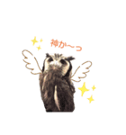 フクロウあずきver.2.0（個別スタンプ：16）