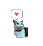 猫んぷ（個別スタンプ：5）