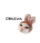 猫んぷ（個別スタンプ：7）