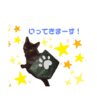 猫んぷ（個別スタンプ：12）