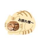 にゃんこ❤️（個別スタンプ：1）