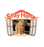にゃんこ❤️（個別スタンプ：7）