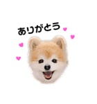 さかたいちくん（個別スタンプ：1）