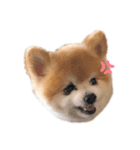 さかたいちくん（個別スタンプ：2）
