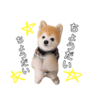 さかたいちくん（個別スタンプ：4）