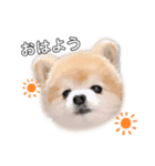 さかたいちくん（個別スタンプ：5）