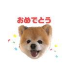 さかたいちくん（個別スタンプ：8）