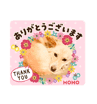 愛犬モモとのんびり生活（個別スタンプ：3）