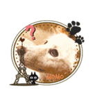 愛犬モモとのんびり生活（個別スタンプ：6）