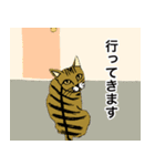 ねこ、時々男前（個別スタンプ：3）