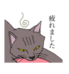 ねこ、時々男前（個別スタンプ：6）