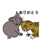 ねこ、時々男前（個別スタンプ：7）
