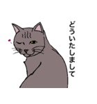 ねこ、時々男前（個別スタンプ：8）