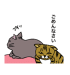 ねこ、時々男前（個別スタンプ：9）