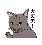 ねこ、時々男前（個別スタンプ：11）
