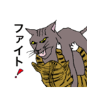 ねこ、時々男前（個別スタンプ：12）