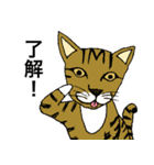ねこ、時々男前（個別スタンプ：13）