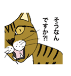 ねこ、時々男前（個別スタンプ：15）