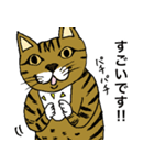 ねこ、時々男前（個別スタンプ：16）