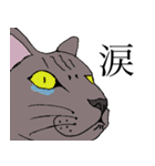 ねこ、時々男前（個別スタンプ：19）