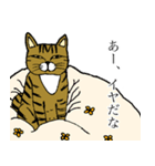 ねこ、時々男前（個別スタンプ：20）