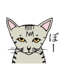 ねこ、時々男前（個別スタンプ：22）