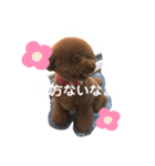 可愛い可愛い可愛いおいぬ（個別スタンプ：10）