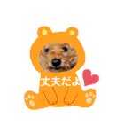 可愛い可愛い可愛いおいぬ（個別スタンプ：14）