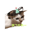 あげチャロ（個別スタンプ：3）