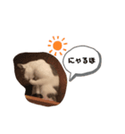 あげチャロ（個別スタンプ：6）
