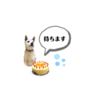 うめてつあずき2（個別スタンプ：4）