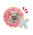 ハリボースタンプ2（個別スタンプ：10）