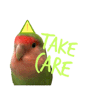 コザクラインコちょきの使える英語スタンプ（個別スタンプ：14）