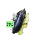 受験期の描写（個別スタンプ：8）