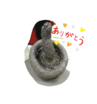 受験期の描写（個別スタンプ：12）