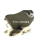受験期の描写（個別スタンプ：13）
